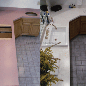 counter-top-refinishing-stone-fleck-bathroom-fossil2.gif